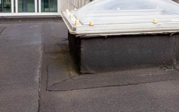 disadvantages of Dalby flat roofs