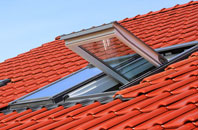 Dalby roof window